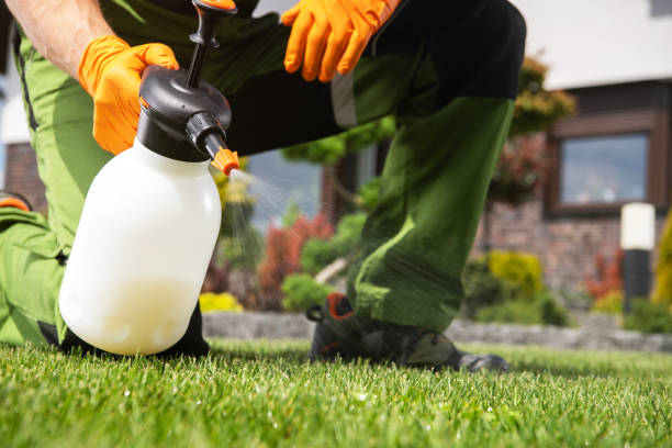 Best Pest Control Near Me in Waynesville, NC